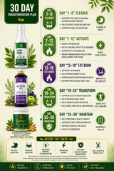 LIVVRA 30 Day Body Detox & Weight 3