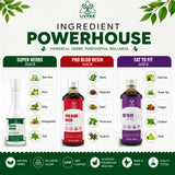 livvra-45-day-full-body-reset-kit 9