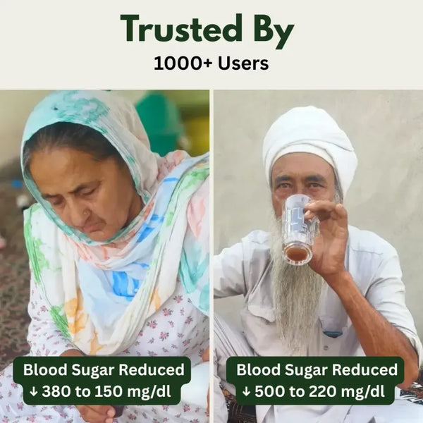 LIVVRA Dy-B-Fuel Ras – Ayurvedic Blood Sugar Support Syrup (1000ml)