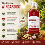 LIVVRA Wincardio Juice – Arjuna Ayurvedic Heart Wellness Drink (1000ml) 11